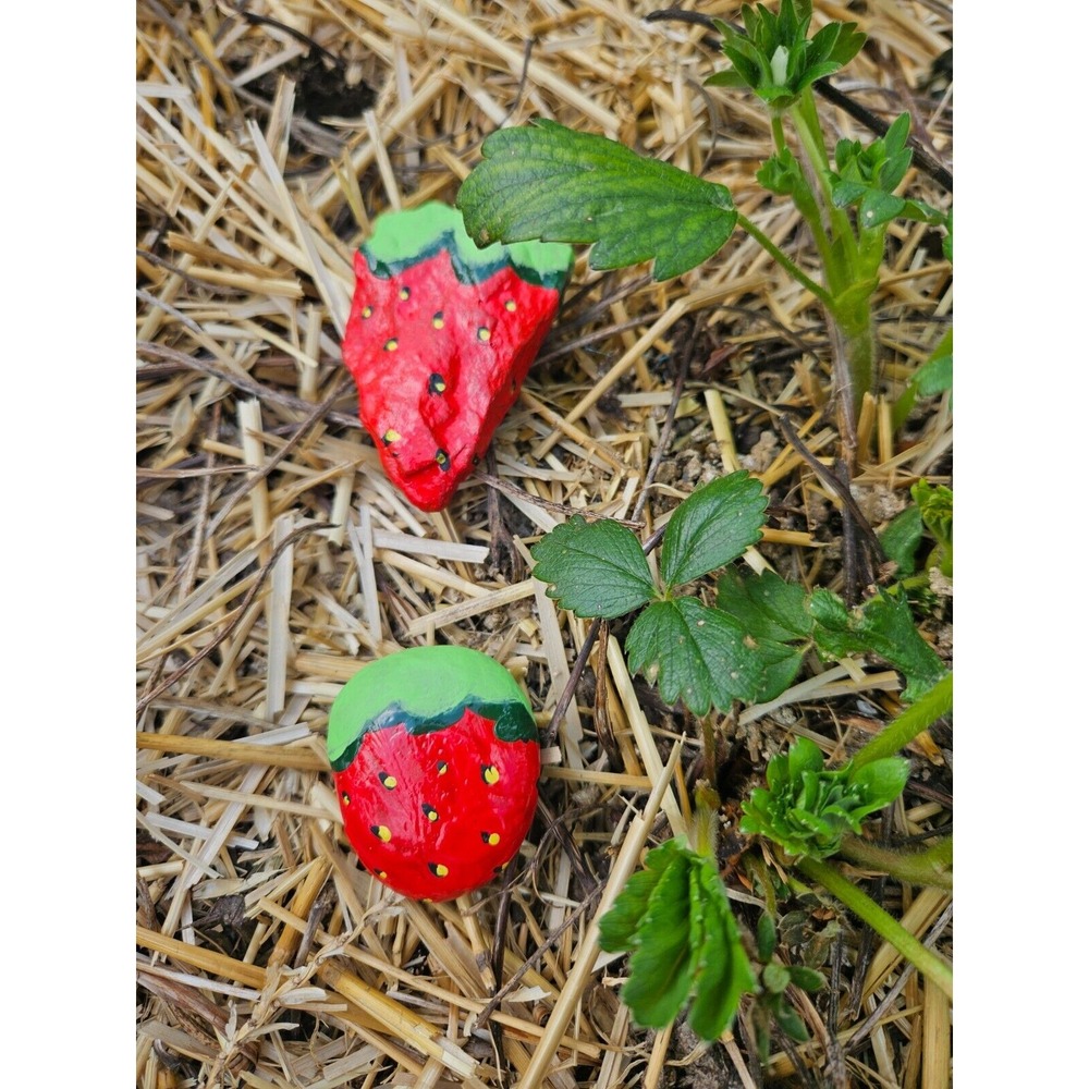 Hand Painted Rocks STRAWBERRY Fruit Lot of 2 Rocks Garden Bird Deterrent‎ Gift